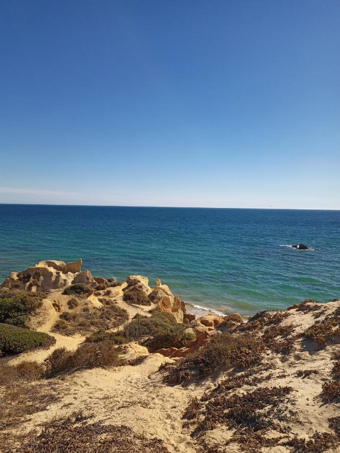 Charming V2 Next To Ocean, Golf & Natural Reserve Albufeira Exterior foto